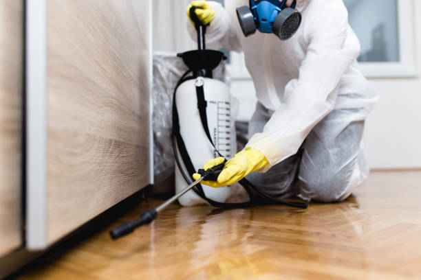 Pest Control Cost in Little Chute, WI