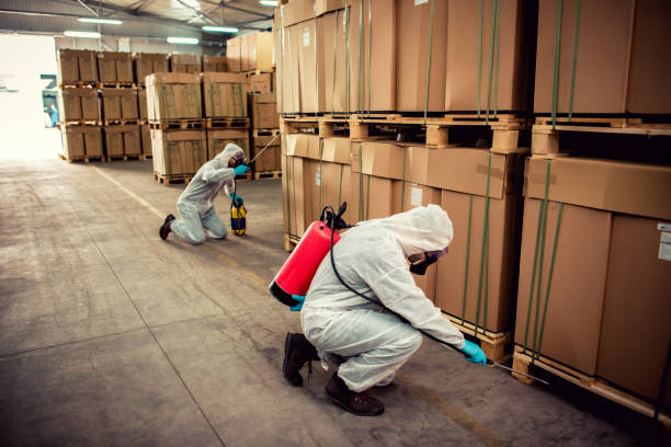 Best Emergency Pest Control  in Little Chute, WI