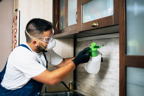 Best Residential Pest Control  in Little Chute, WI