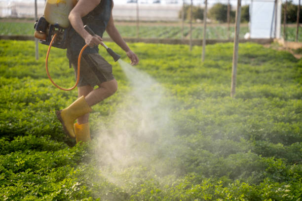 Professional Pest Control in Little Chute, WI